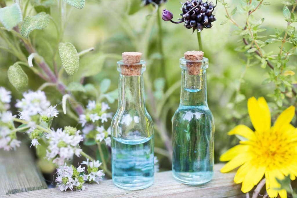 Zwei kleine Falschen in blumiger Szene mit hellblauer Flüssigkeit